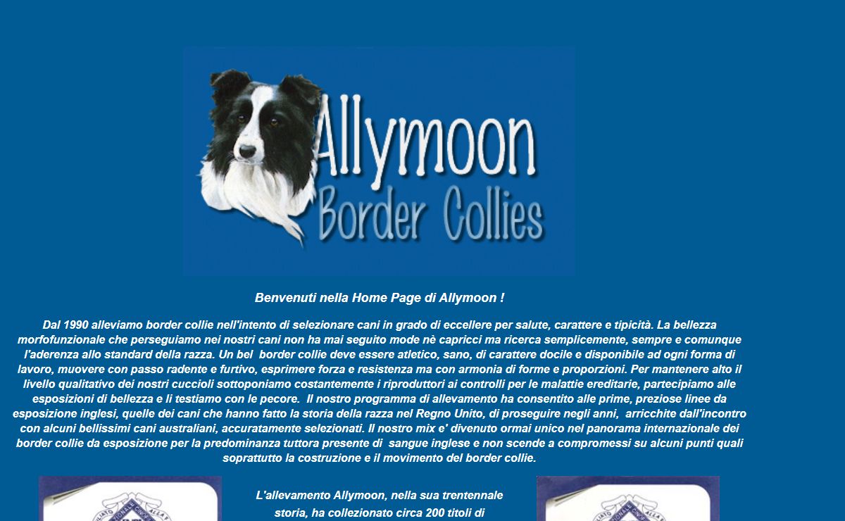 Allymoon allevamento cani di razza Border Collie cuccioli versatili da esposizione agility sheepdog cuccioli neri e bianchi cioccolata e bianchi blue merle rossi e bianchi tricolori