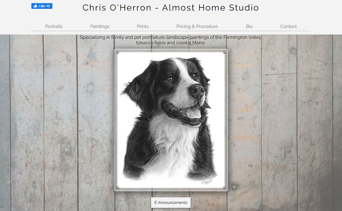 Almost Home Studio - Portraits & Paintings by Chris O'Herron in CT