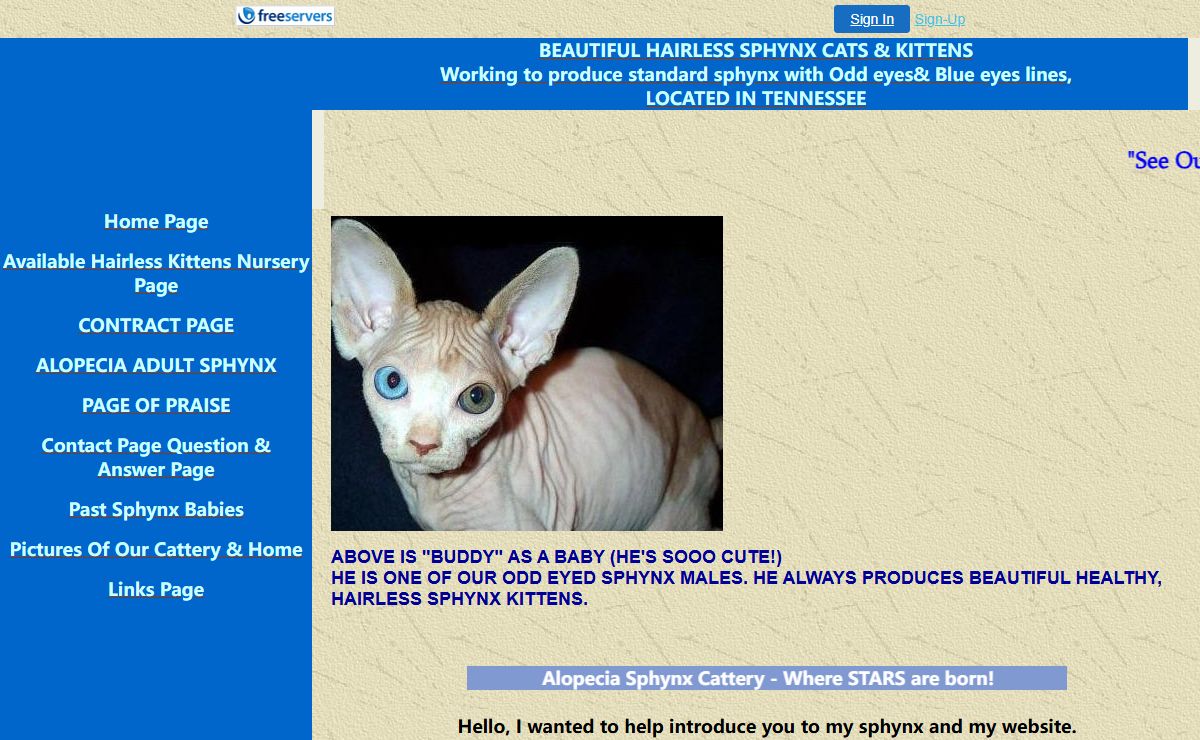 Home Page Available, Bald, Hairless Sphynx Kittens, Sphynx Cats, Sphynx For Sale, Odd Eyed & Blue Eyed