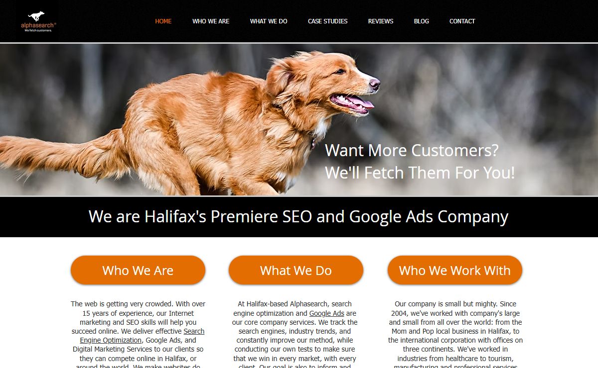 SEO Company in Halifax, Nova Scotia - Alphasearch