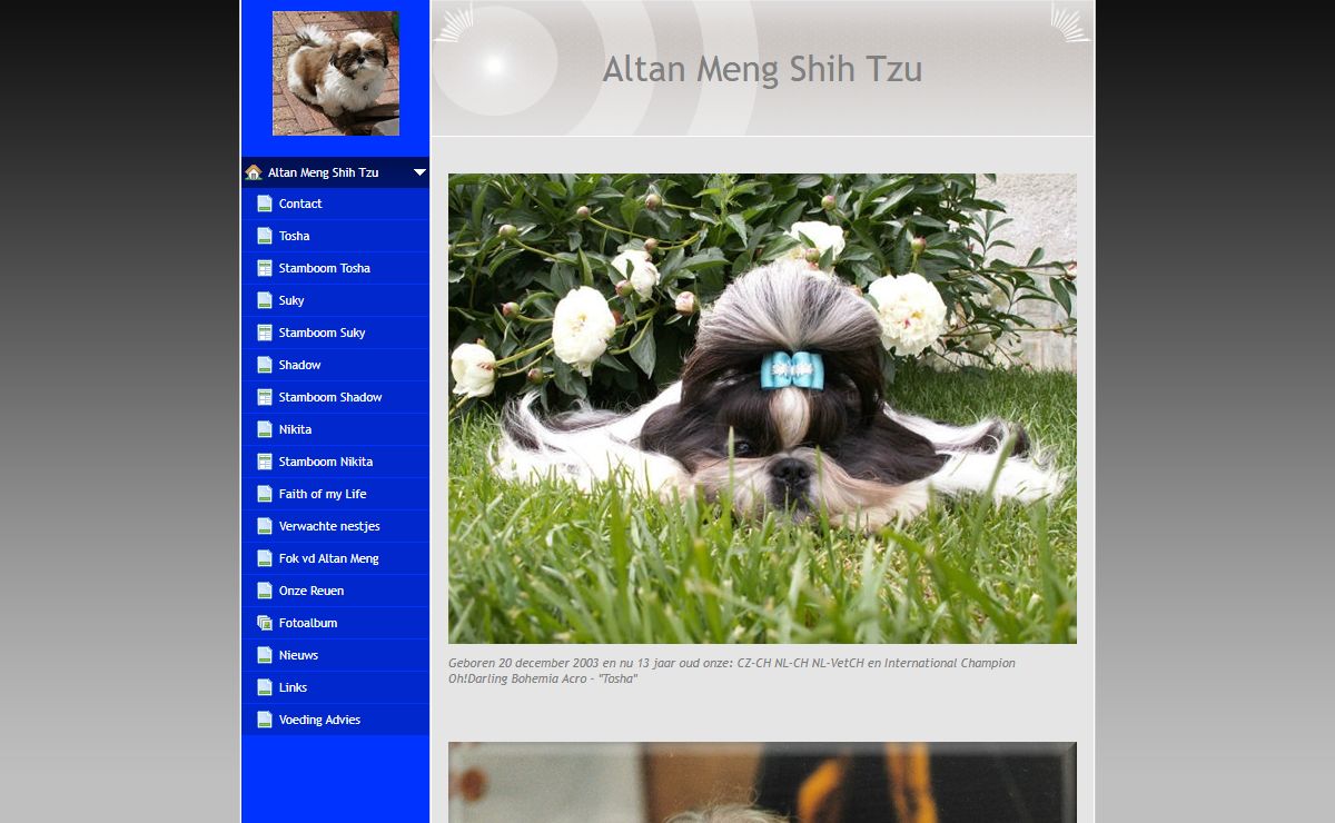 Altan Meng Shih Tzu