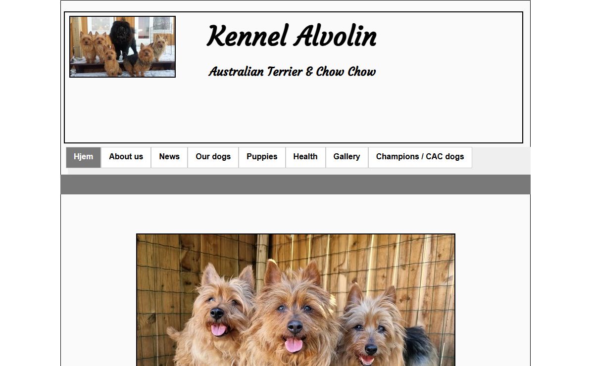 Alvolin - Australsk Terrier