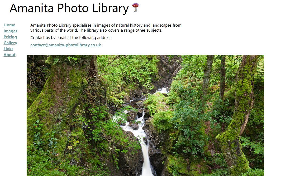 Amanita photolibrary