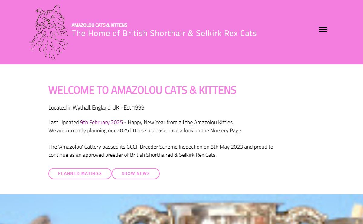 British Shorthair Cats Selkirk Rex Cats Kittens Birmingham UK