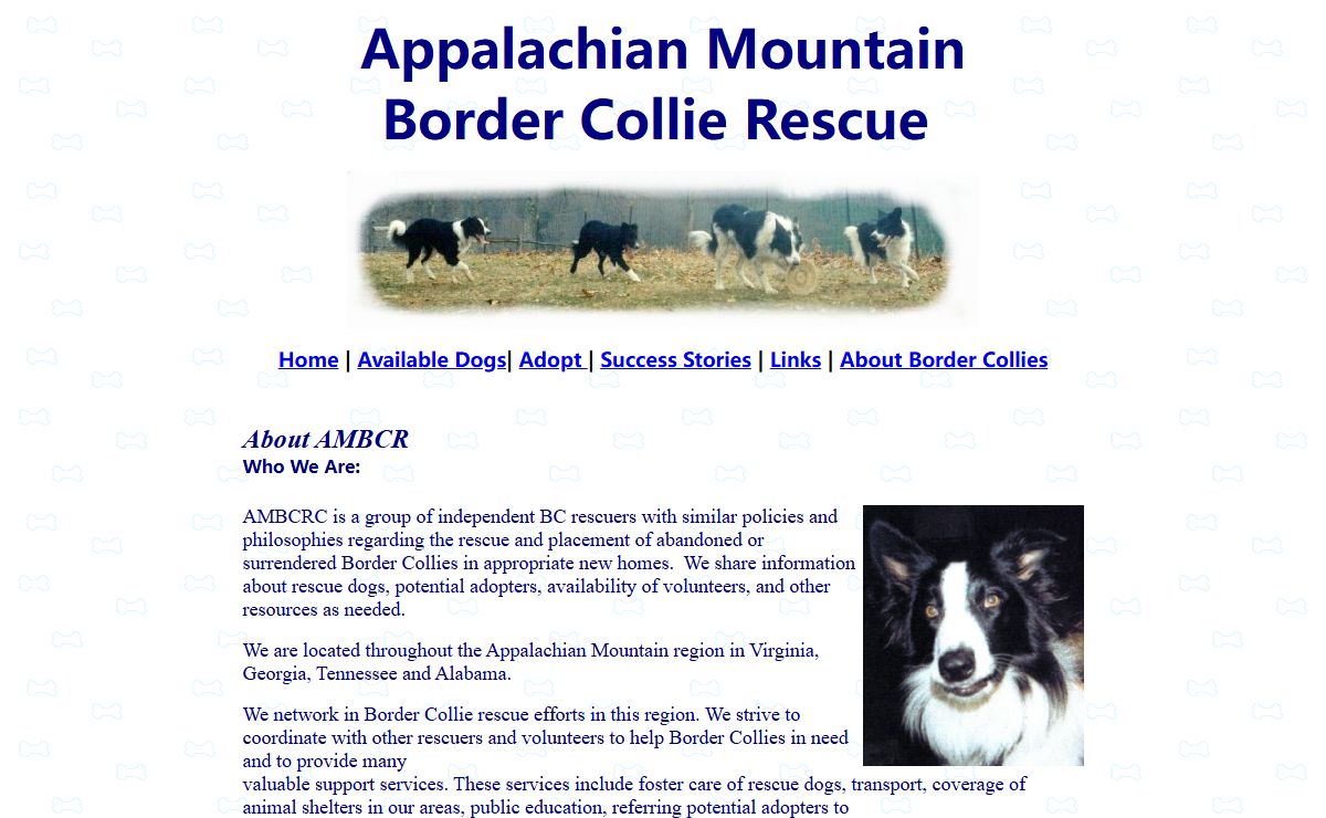 Appalachian Mountain Border Collie Rescue