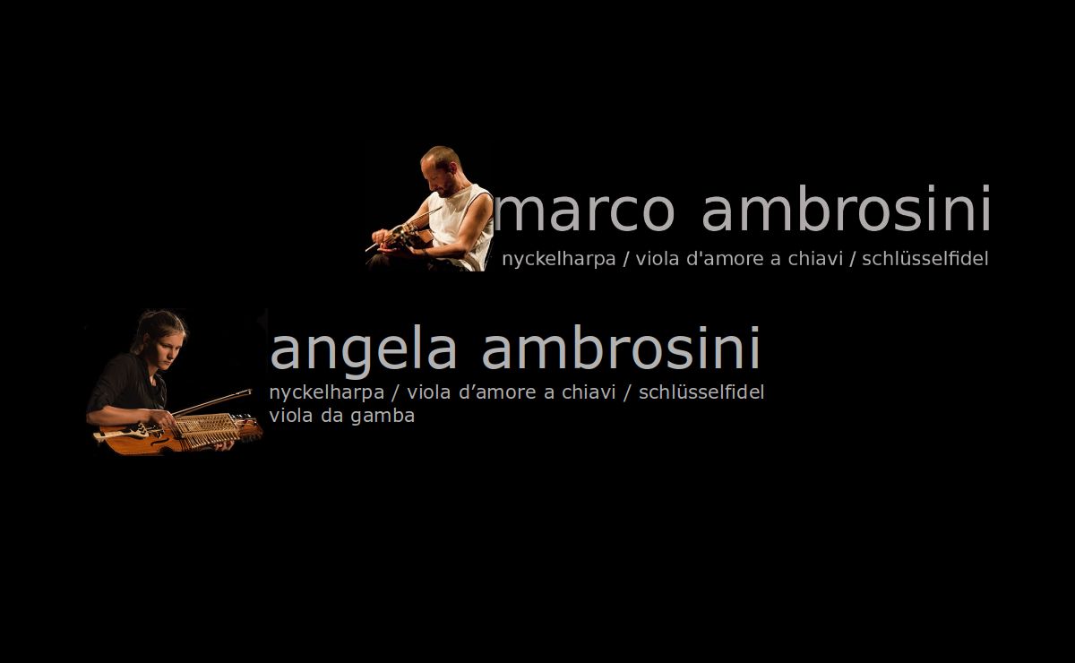Marco Ambrosini - Nyckelharpa