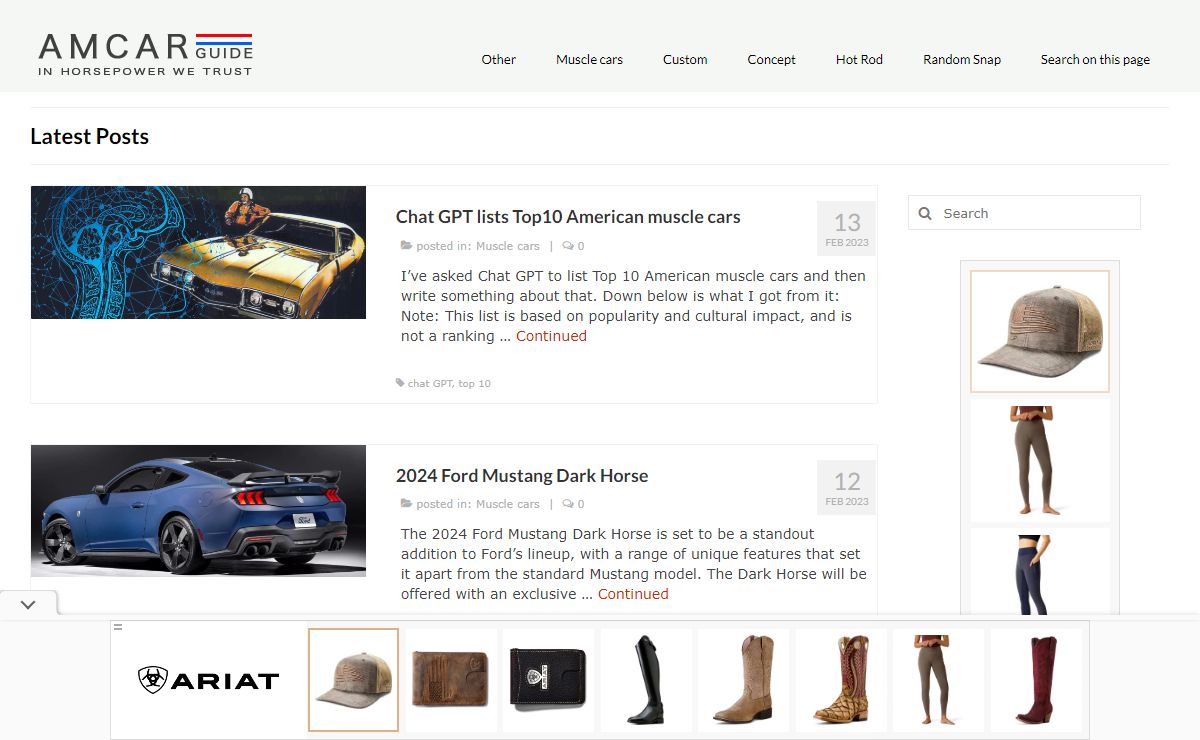 AmcarGuide.com - In horsepower we trust