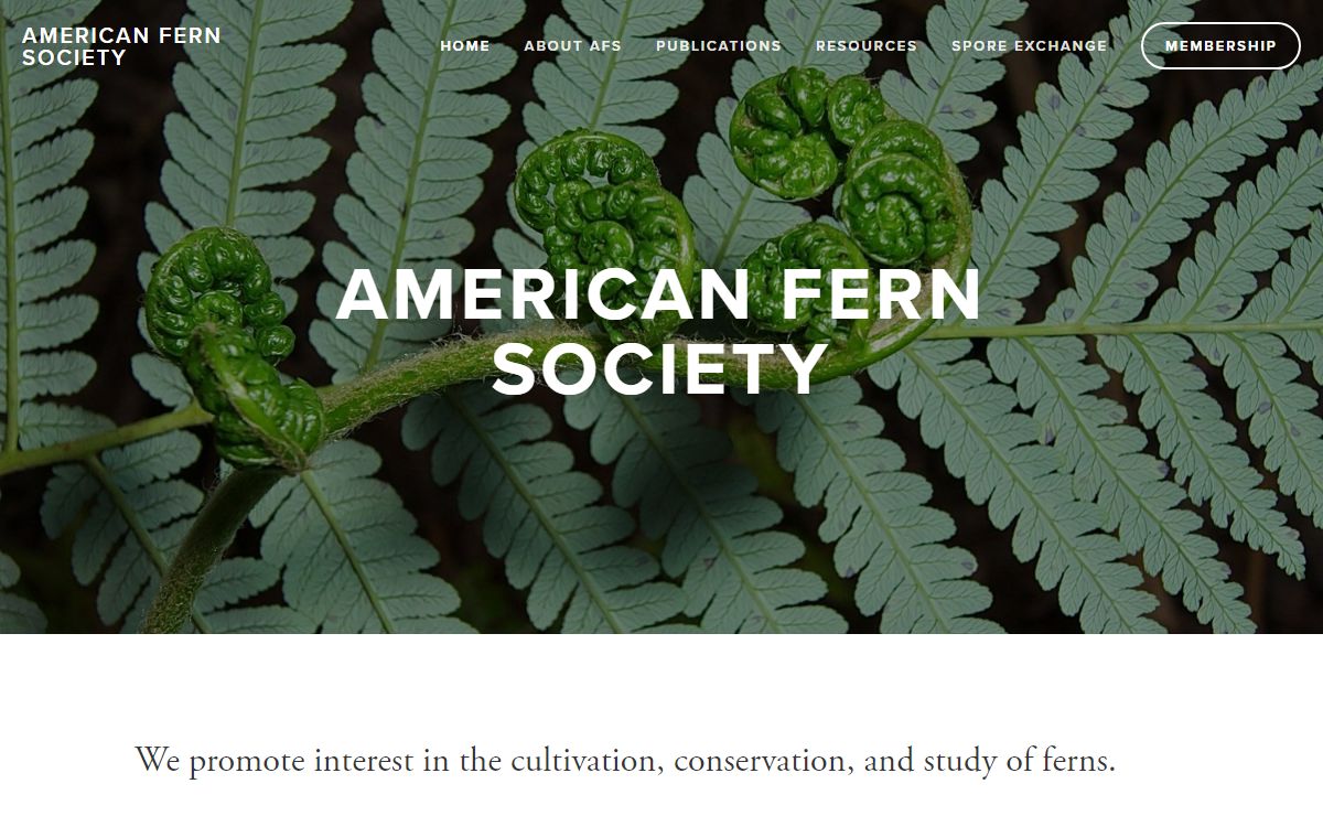 American Fern Society