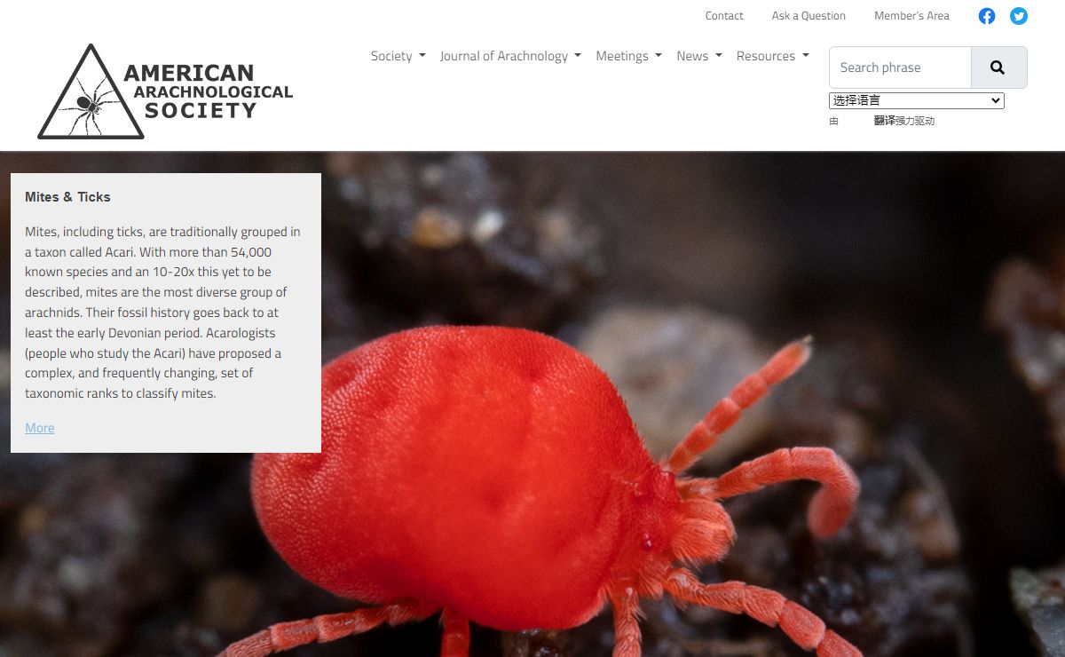 Home: AAS | American Arachnological Society