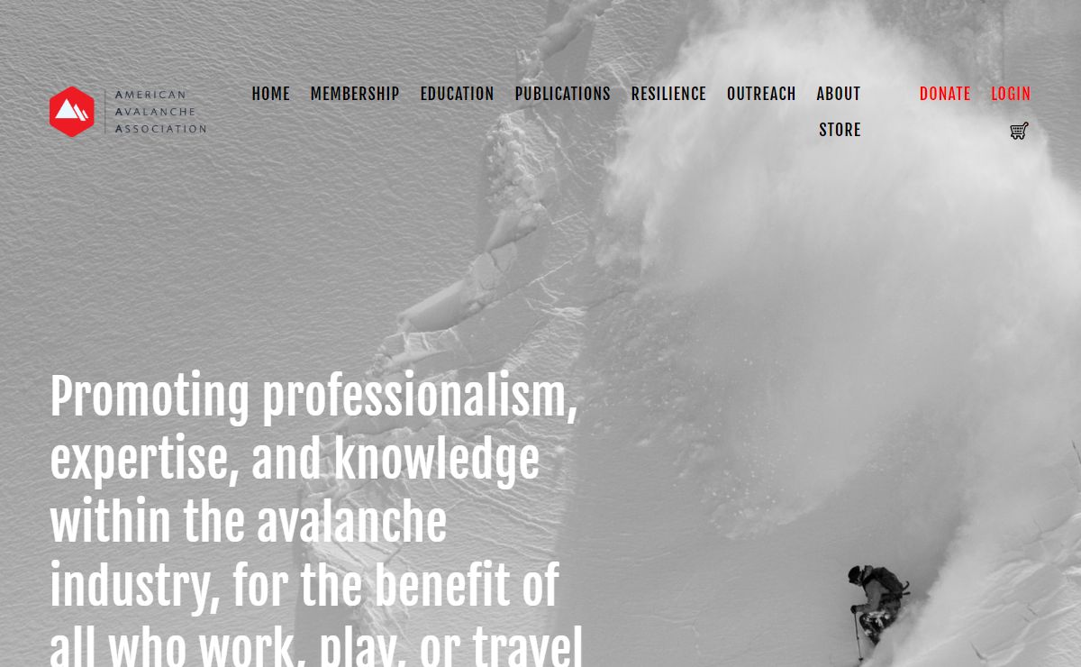 American Avalanche Association