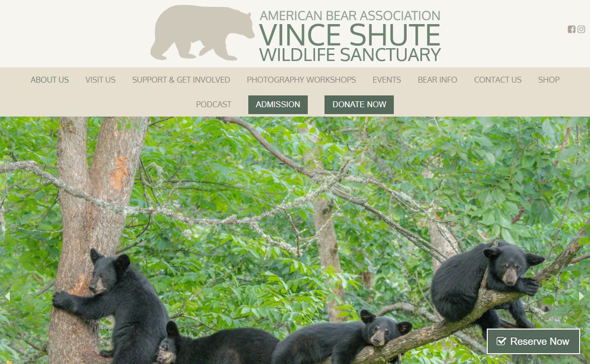 American Bear Association