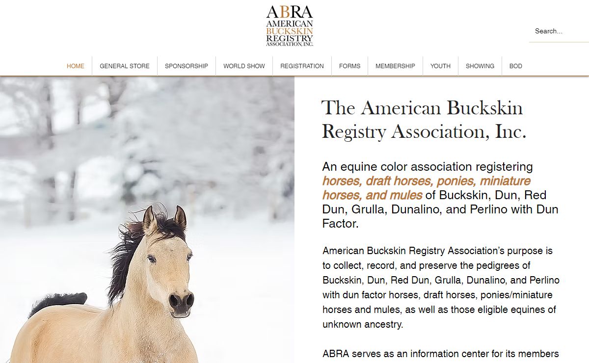Buckskin Horses | American Buckskin Registry Association, Inc. | Tulsa, OK