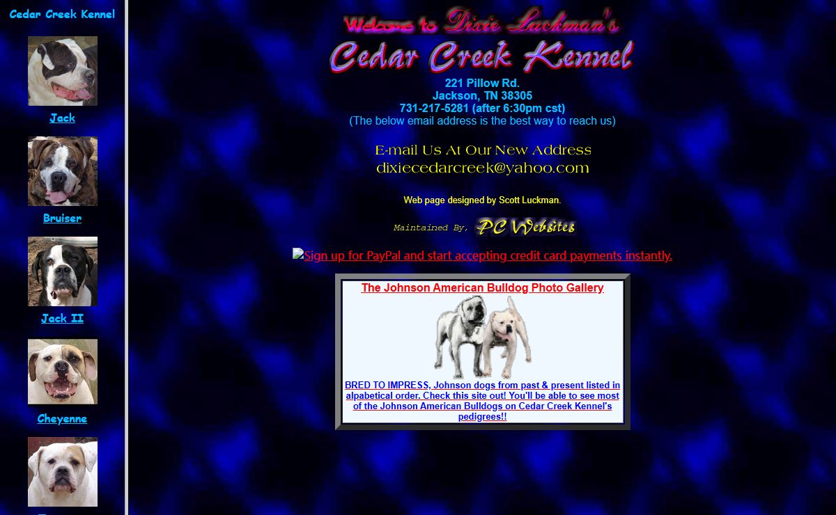 Cedar Creek Kennel's American Bulldogs