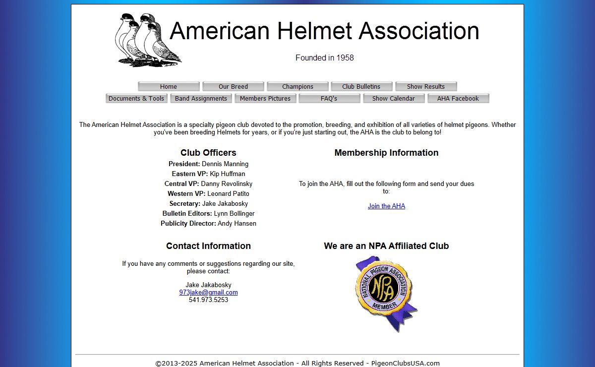 American Helmet Association