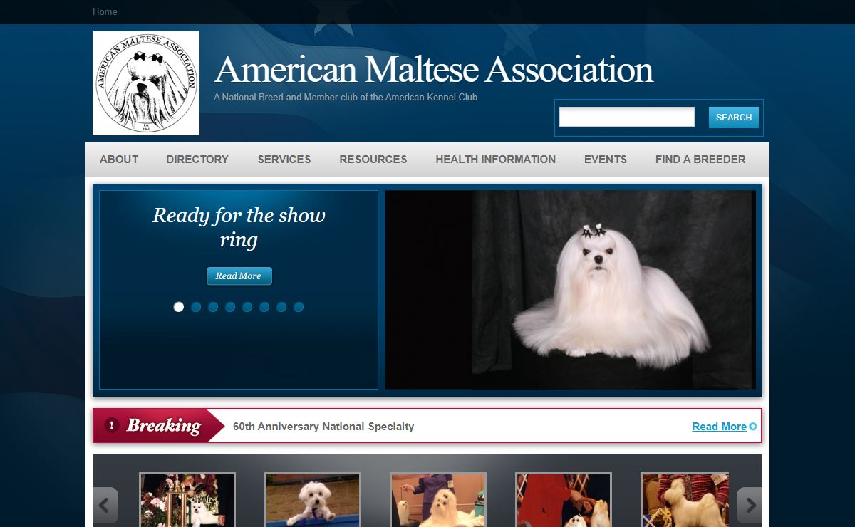American Maltese Association | A National Breed and Member club of the American Kennel Club