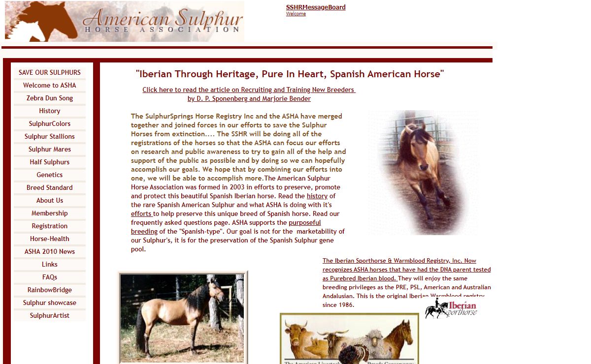 Sulphur Horse Association.  ASHA. Sulphur Springs Mustangs. Spanish War Horse. Iberian Sulphur