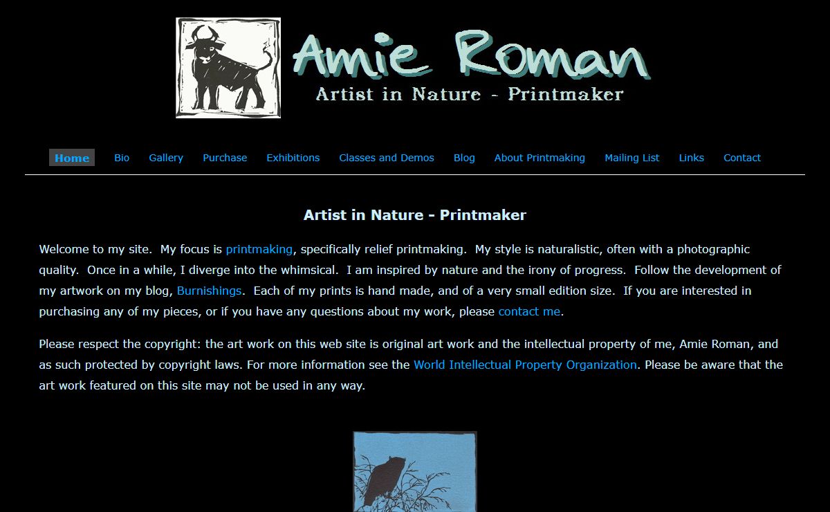 Amie Roman - Printmaker - Artist in Nature