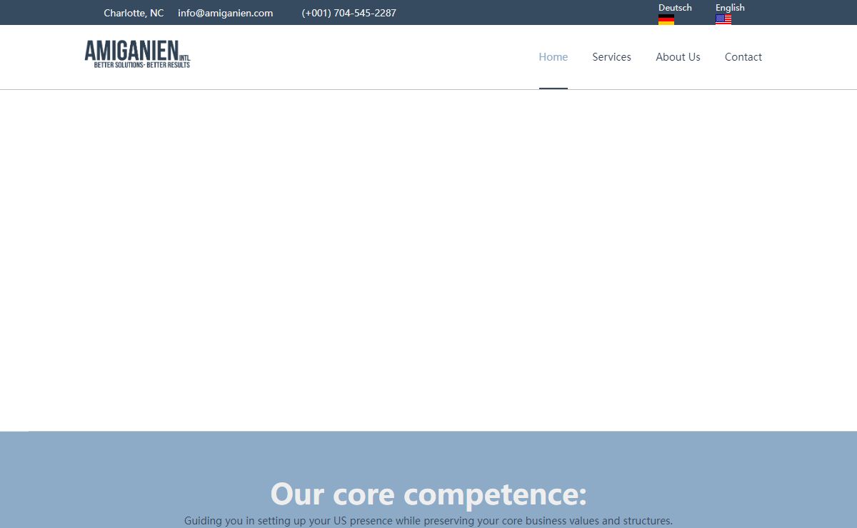 Amiganien International - eCommerce Branding & Consulting