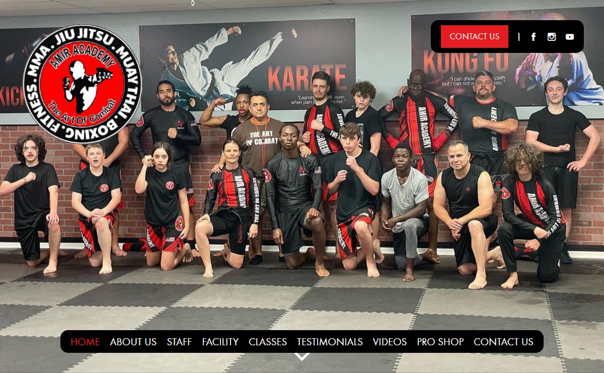 St. Petersburg Martial Arts | Amir Academy of Martial Arts
