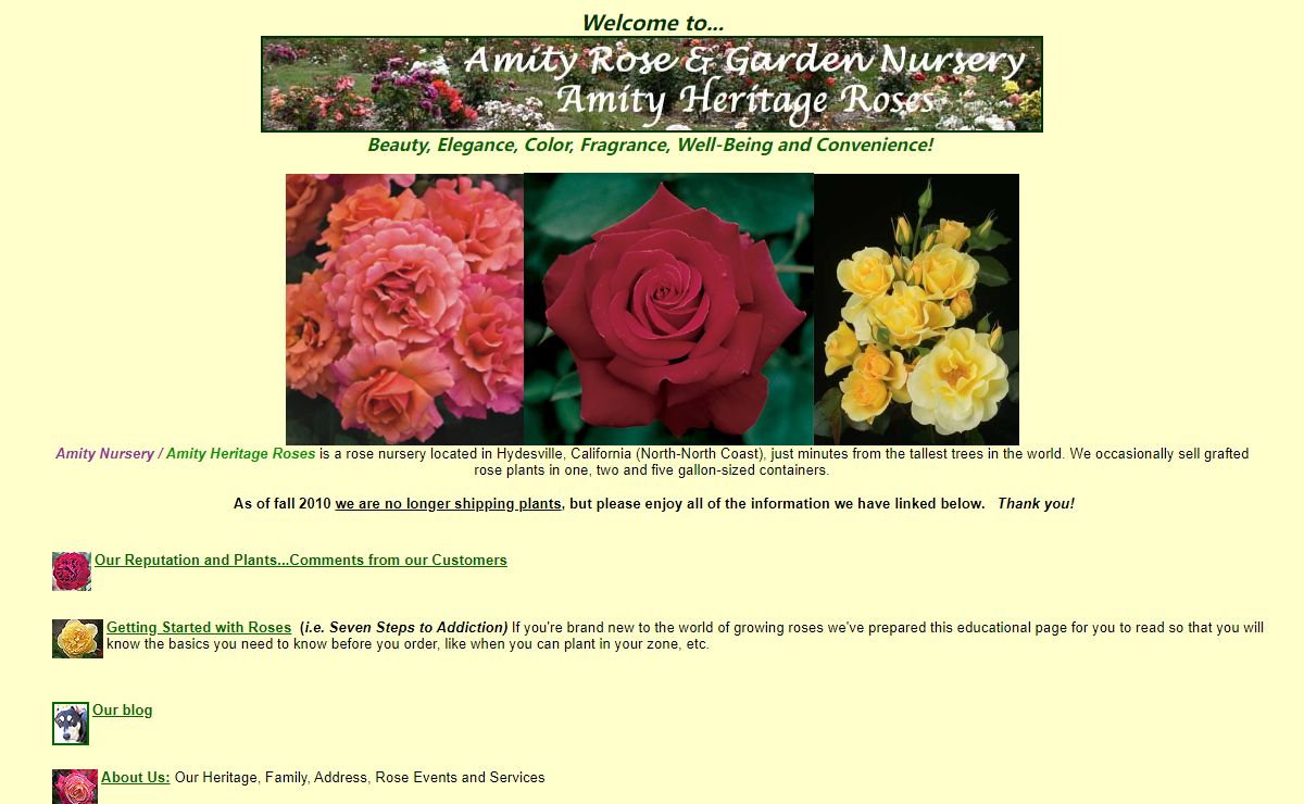 Amity Heritage Roses
