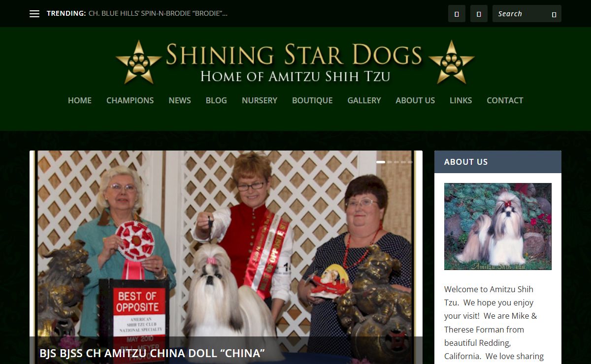 | Shining Star Dogs
