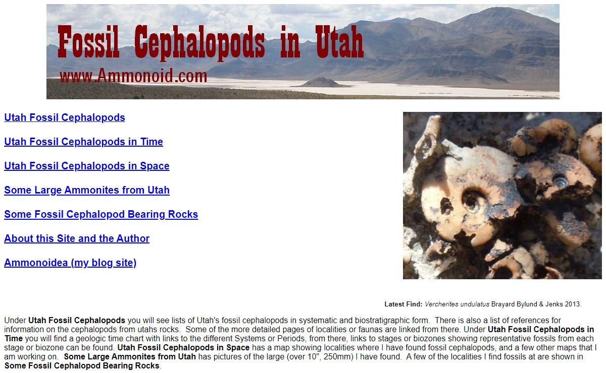 Fossil Cephalopods in Utah