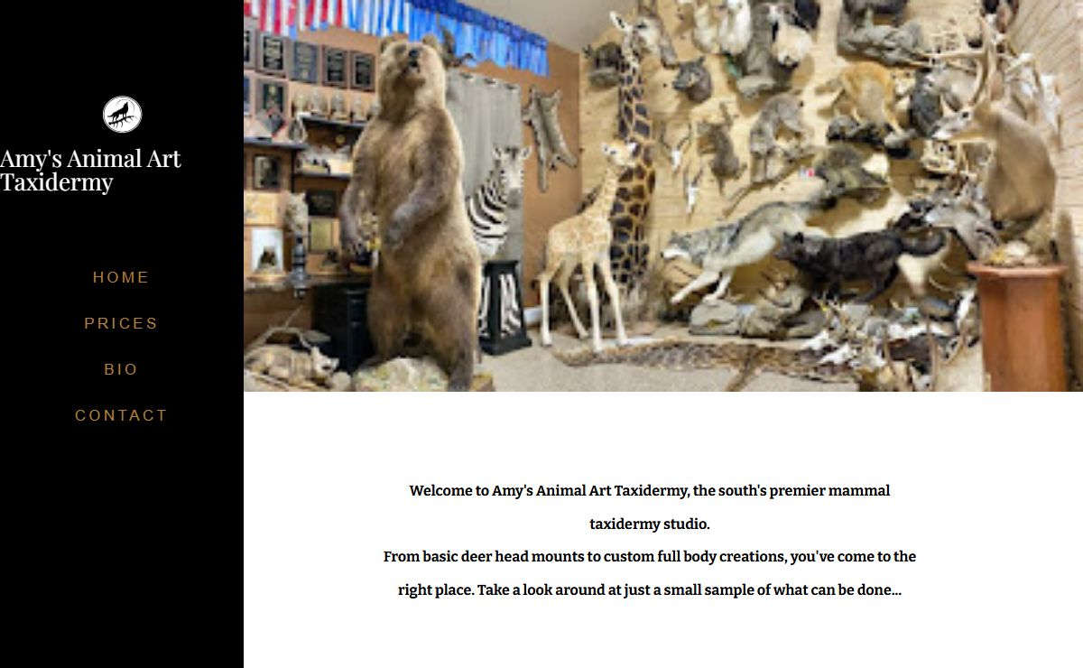 Amy's Animal Art Taxidermy