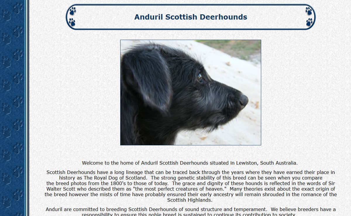 Anduril Scottish Deerhounds