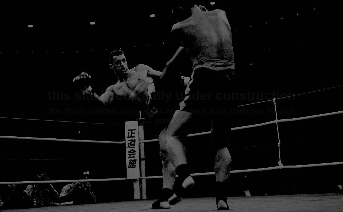 Andy Hug