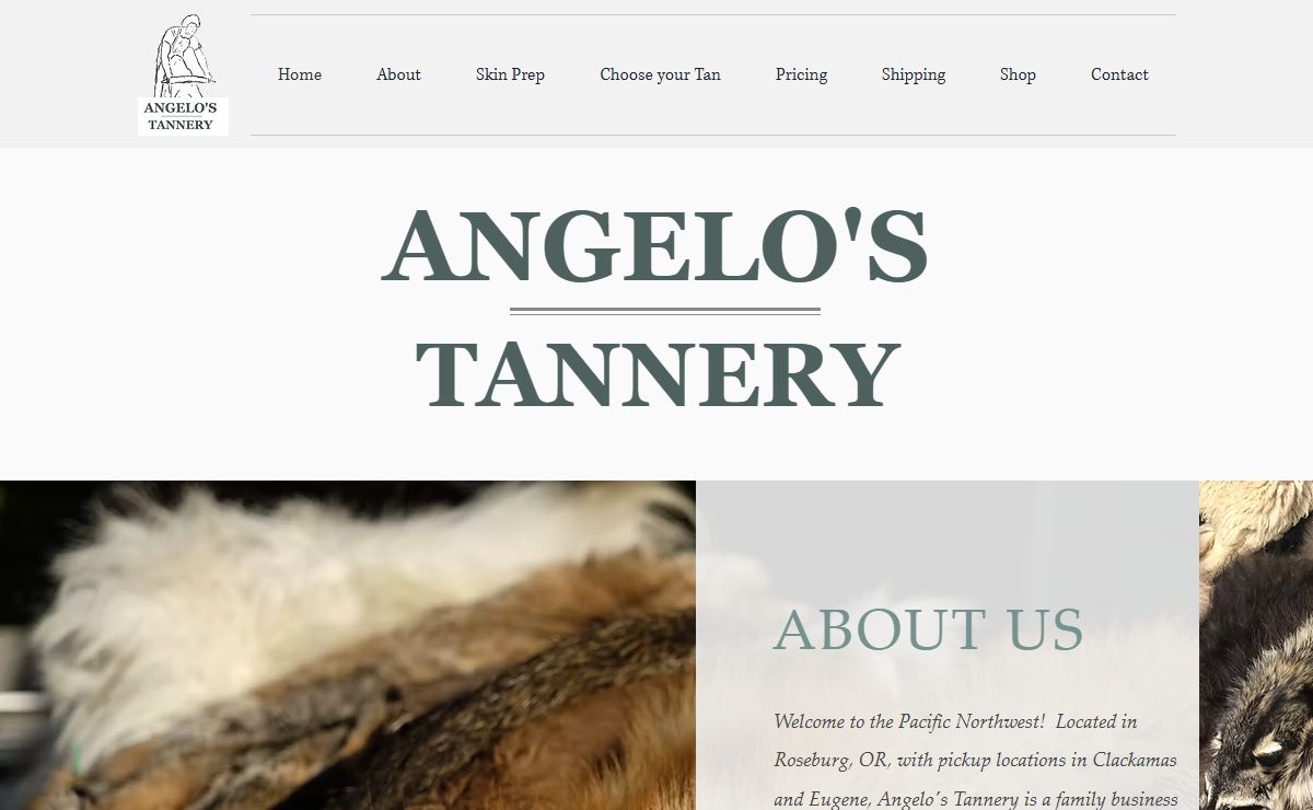 Home | My Site 2