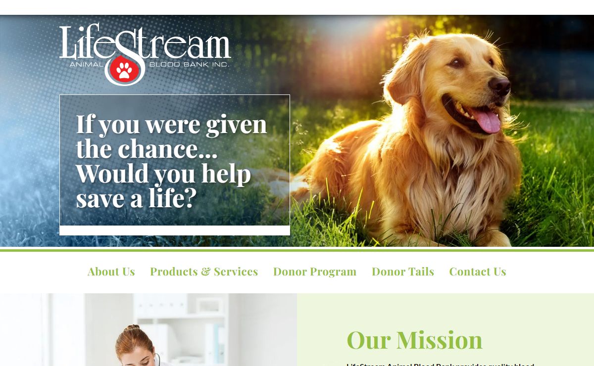Animal Life Stream