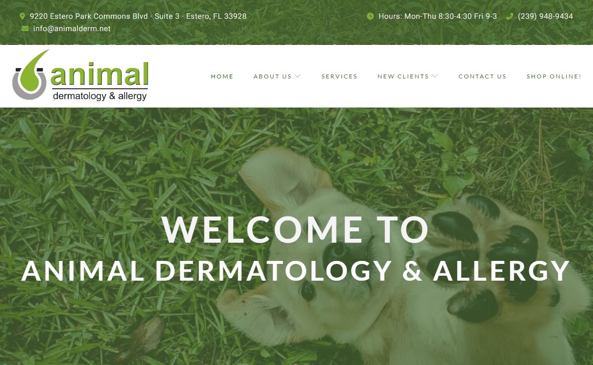 Animal Dermatology & Allergy