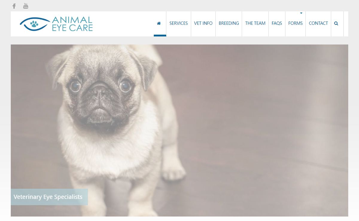 Animal Eye Care - Ophthalmology Only Services