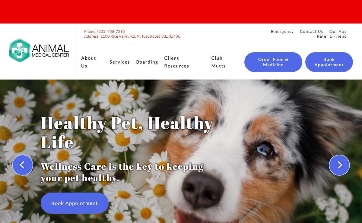 Veterinary Care in Tuscaloosa, Alabama | Animal Medical Center Tuscaloosa