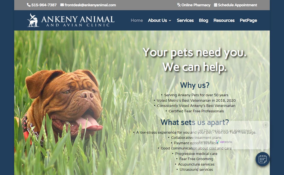 Ankeny Animal & Avian Clinic | A Full-Service Animal Hospital Providing Comprehensive Healthcare Services and Grooming to Pets in Ankeny and the Surrounding Areas