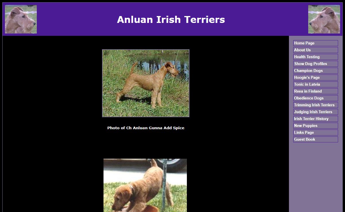 Anluan Irish Terriers