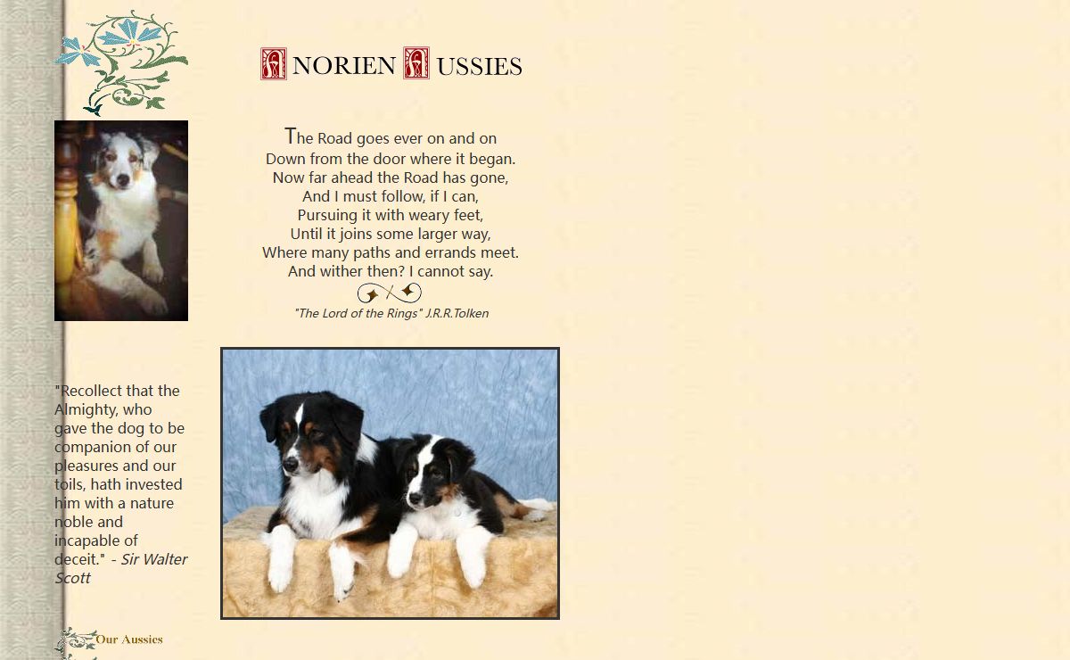 Anorien Aussies