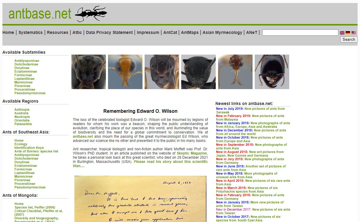 A Taxonomic Ant Picturebase of Asia and Europe