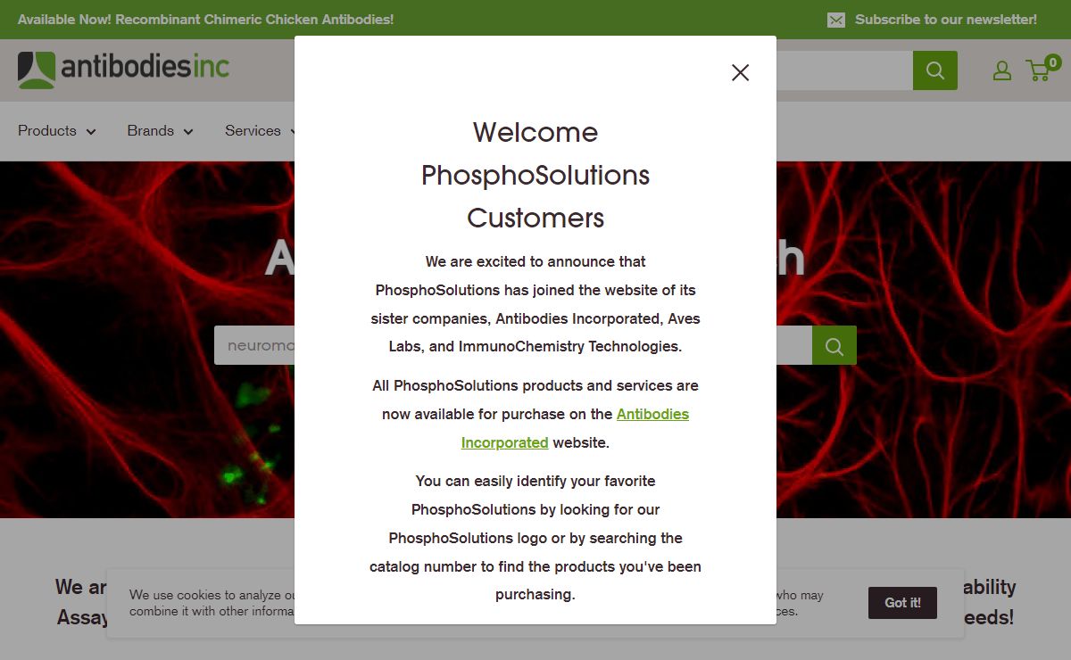 Antibodies Incorporated: The official supplier of Neuromab antibodies.