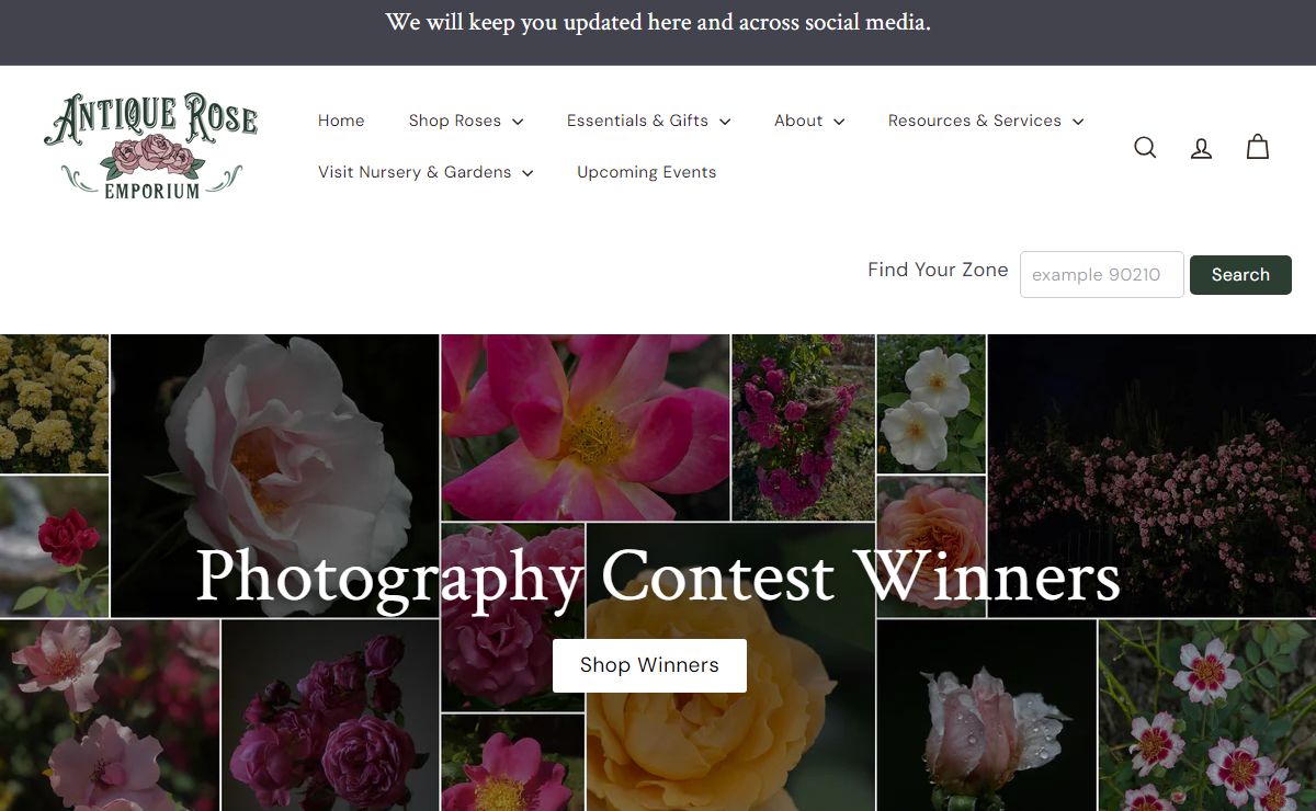 Antique Rose Emporium | Antique Rose Nursery & All Things Garden