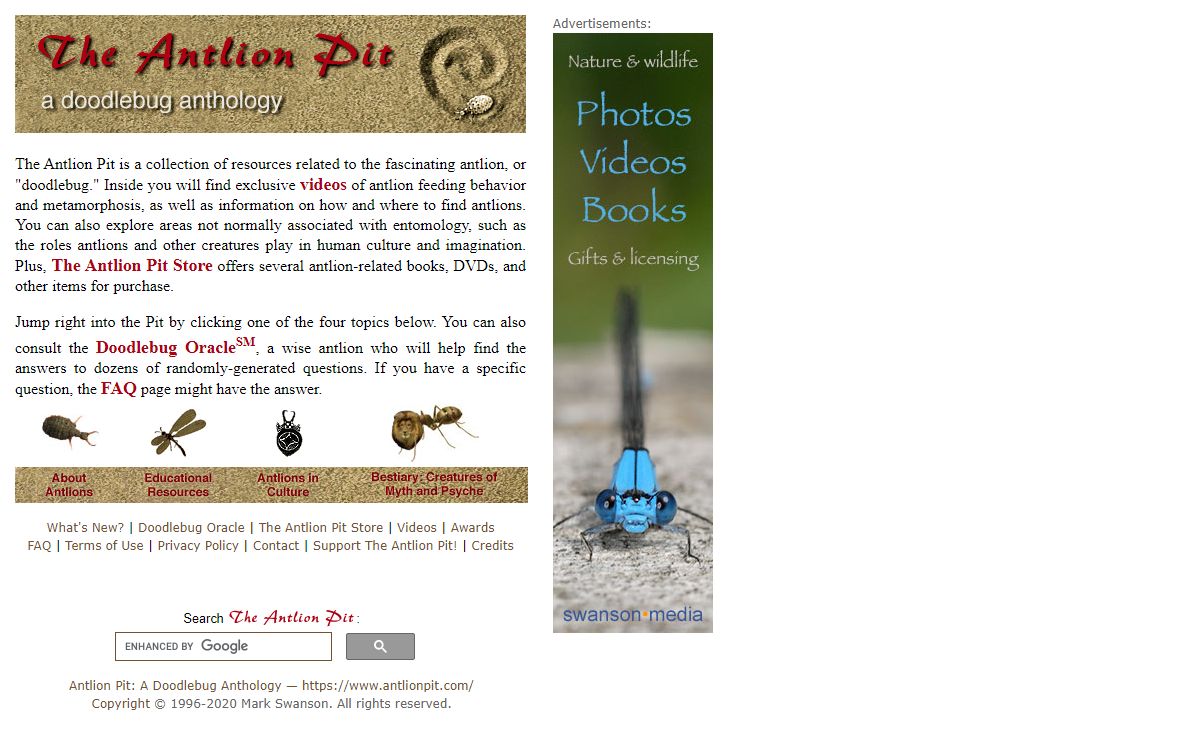Antlion Pit: A Doodlebug Anthology