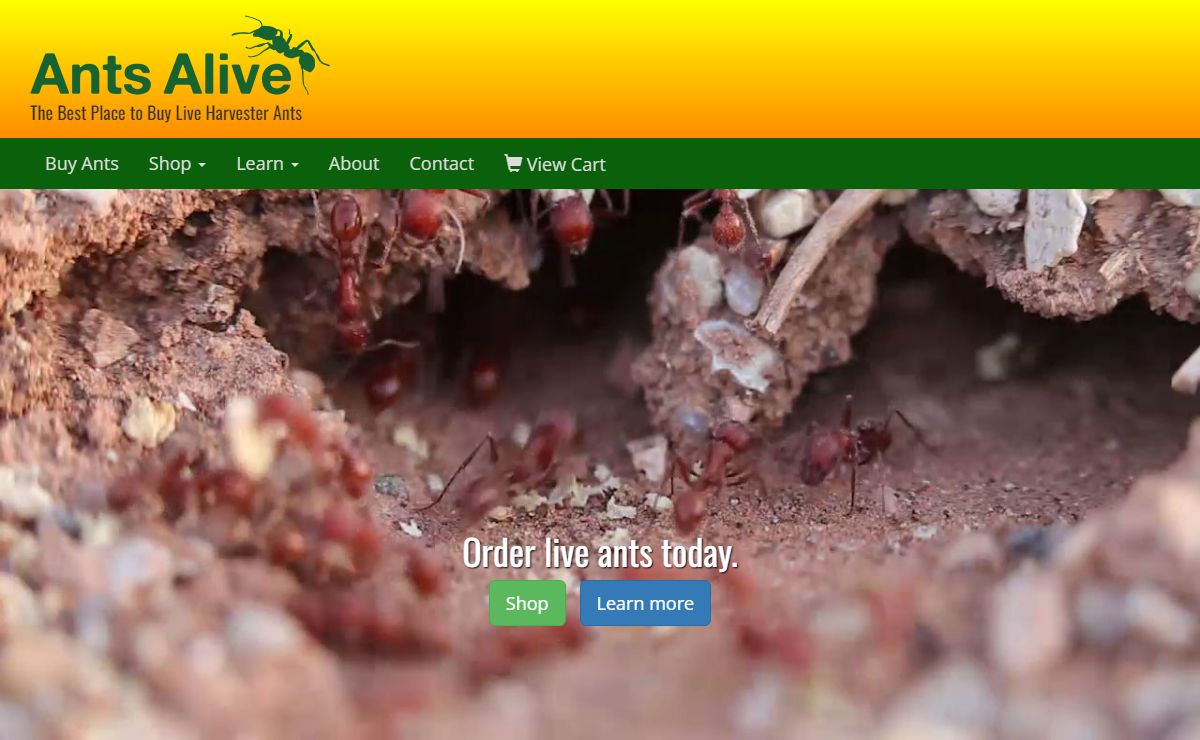Buy Live Harvester Ants - farms, habitats, & refill kits.