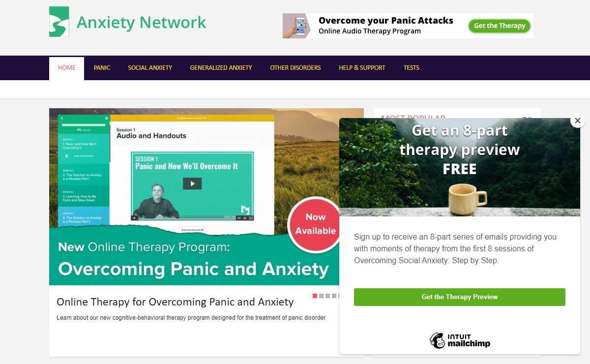 The Anxiety Network