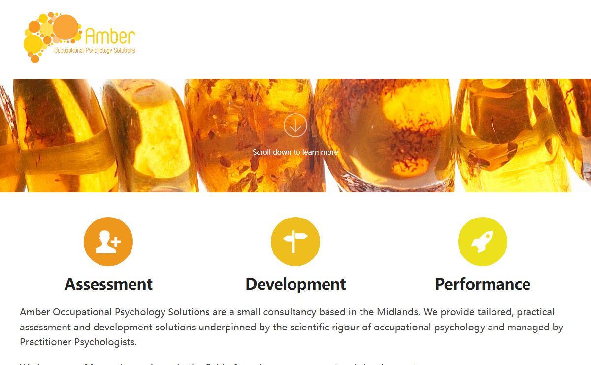 Amber Occupational Psychology Solutions