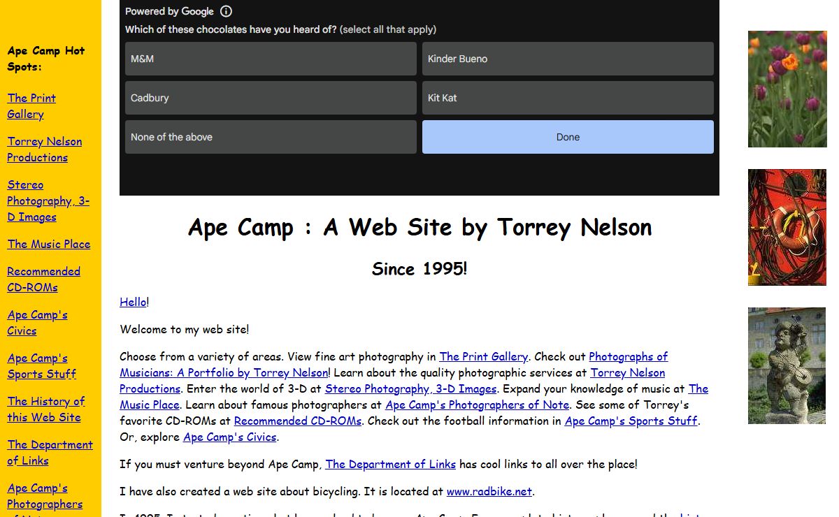 Ape Camp : Torrey Nelson's Home Page