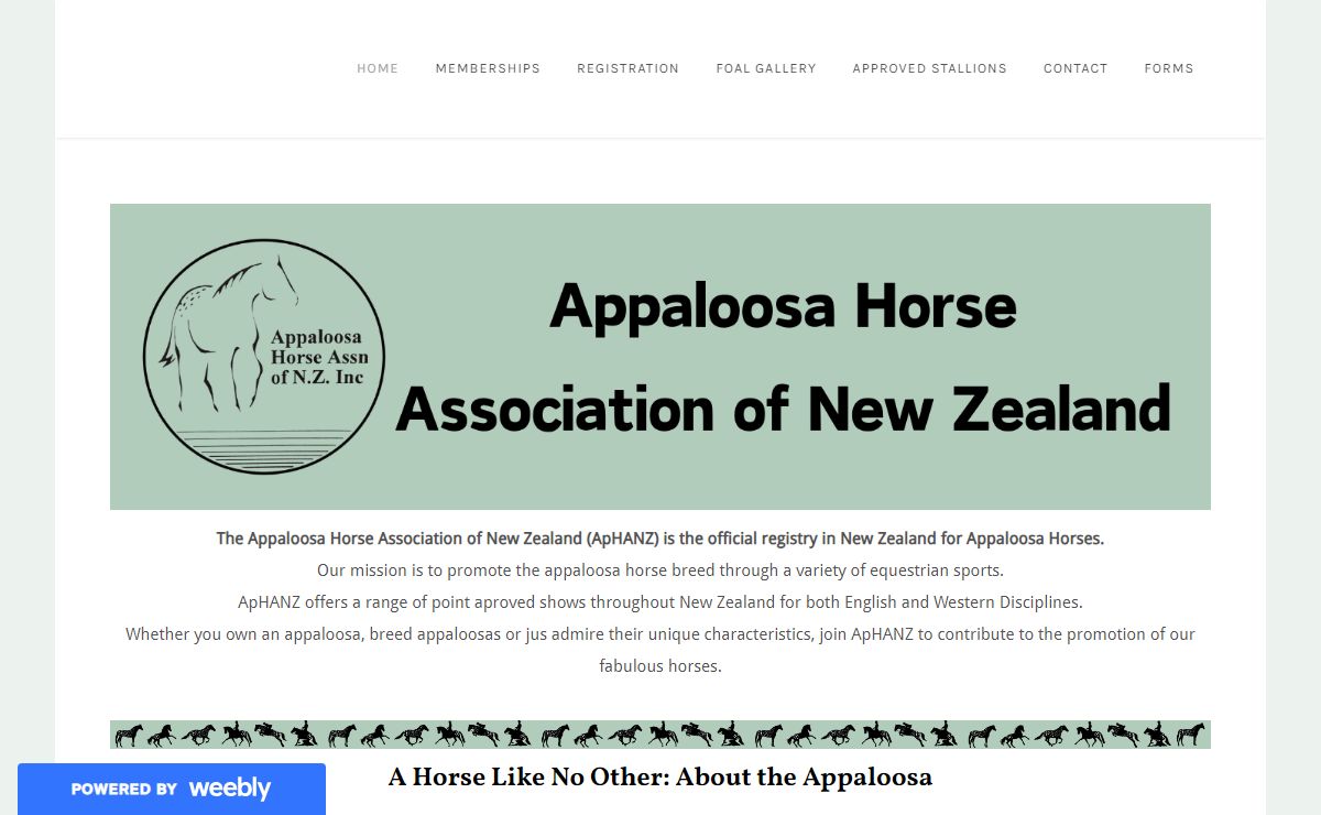 Appaloosa New Zealand