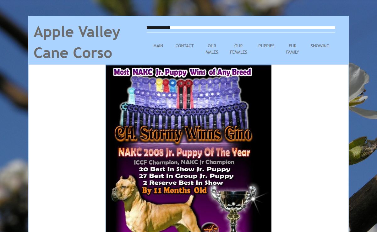 Apple Valley Cane Corso - Cane Corso, Cane Corso, Breeder, Puppies