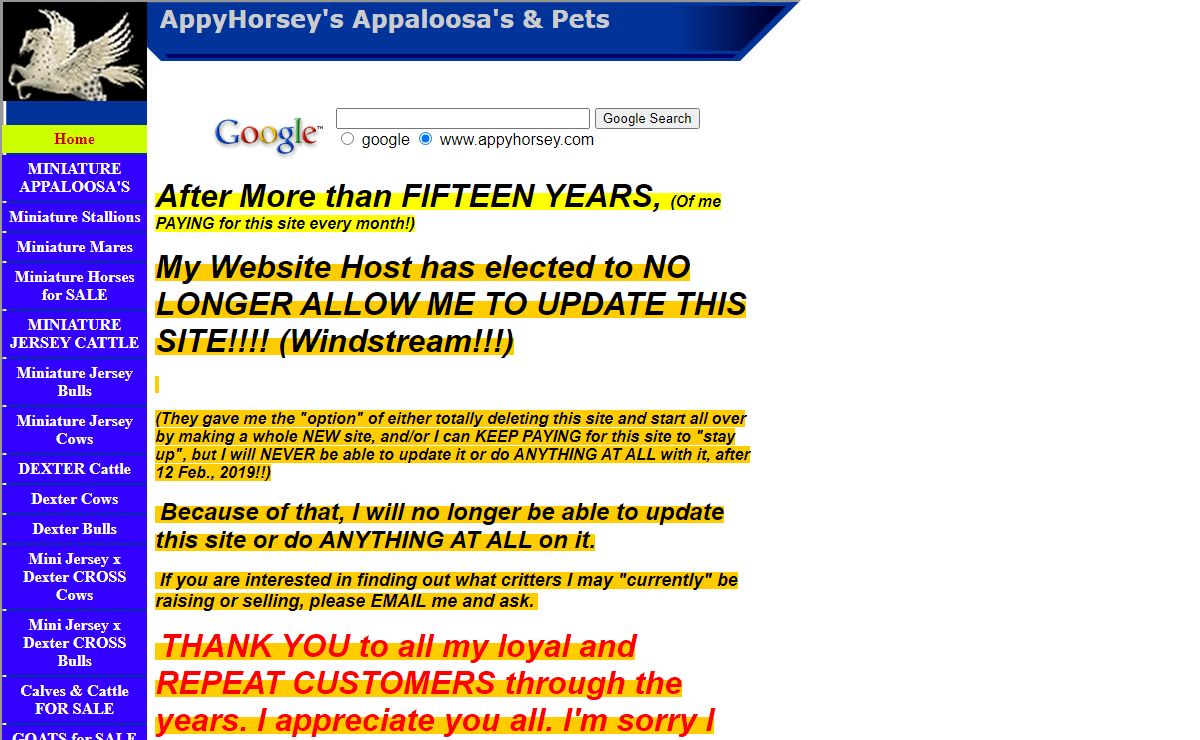 AppyHorsey's Appaloosa's & Pets