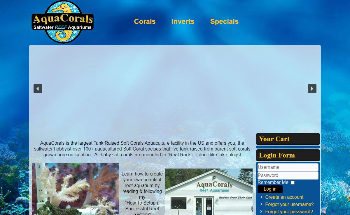 Soft Corals For Sale: Tank Raised Aquacultured Soft Corals, Hard Corals, Inverts and Saltwater Reef Fish For Home Aquariums