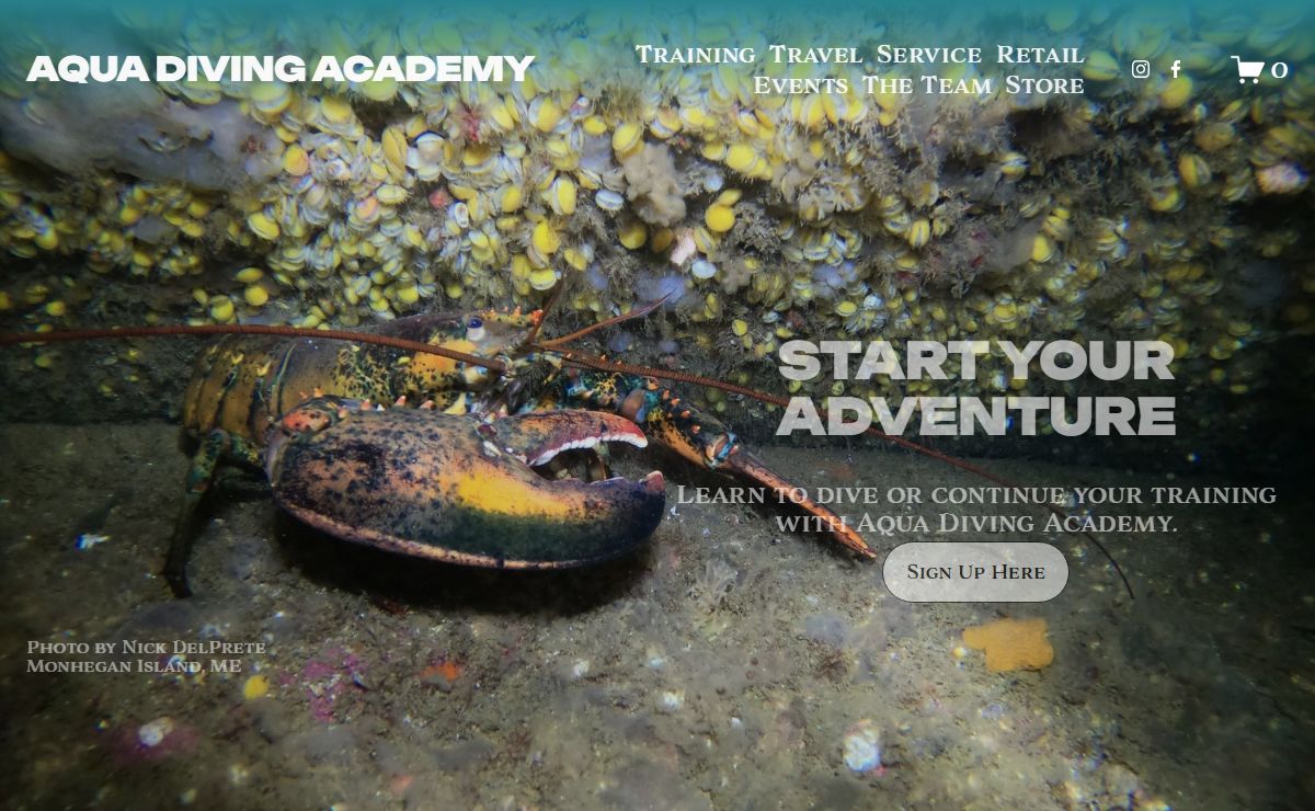 Aqua Diving Academy